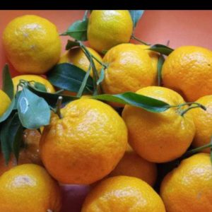 Liquore al mandarino, mette in risalto aroma e profumo