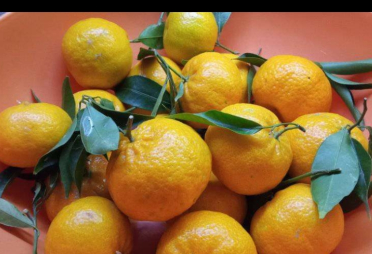 Liquore al mandarino, mette in risalto aroma e profumo